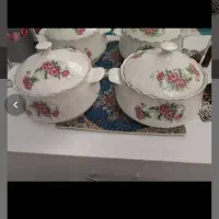ظروف گل سرخی