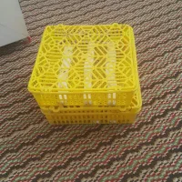 دستگاه جوجه کشی|لوازم جانبی حیوانات|آشخانه, |دیوار