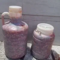 ترشی آب گوجه