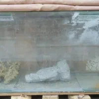 آکواریوم