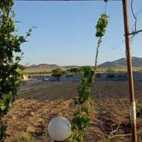 فروش گلخانه با تخفیف میلیاردی|فروش دفتر صنعتی، کشاورزی، تجاری|اصفهان, میرعماد|دیوار