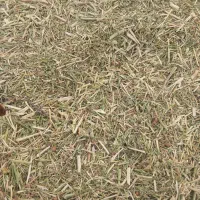 خار دانه دار