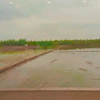 ویلا نوساز ۲۱۵متر/جاده دریا/سندشش دانگ|فروش خانه و ویلا|کیاکلا, |دیوار