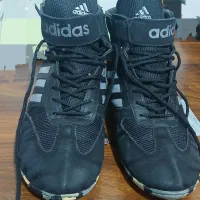 کتونی کشتی ۴۳