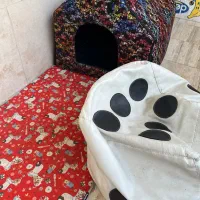 ۳تیکه باهم ۲تومن زیر قیمت مقطوع