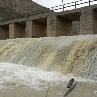 مزرعه و باغ ۲هکتاری/غرق آباد ساوه/منطقه سرسبز|فروش دفتر صنعتی، کشاورزی، تجاری|تهران, شهرک پرواز|دیوار