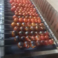 کمک آشپز حرفه ای