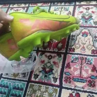 کفش چمنی|کیف، کفش، کمربند|آبیک, |دیوار