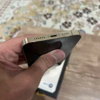 iPhone 13 Pro Max 256 ZAA|موبایل|تهران, وردآورد|دیوار