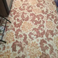 موکت طرحدار|موکت|سمنان, |دیوار