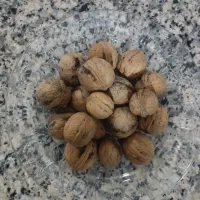 گردو