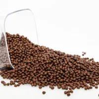 غذای خشک گربه با پروتئین بالا آمریکایی