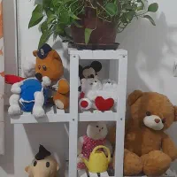استندگل