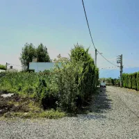 فروش فوری زمین نخری ضرر کردی *نقد و اقساط|فروش زمین و ملک کلنگی|چمستان, |دیوار