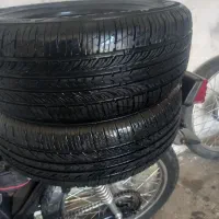 لاستیک پراید نونو