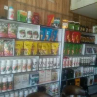 سم پاشی منازل سمپاشی اماکن|خدمات نظافت|محمدشهر, محمدشهر|دیوار