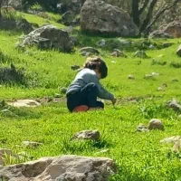 خط موبایل خاص