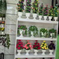 تولید و پخش دسته اول در کارگاه