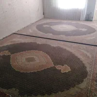 فرش ریزماهی|فرش|مشهد, طبرسی شمالی|دیوار