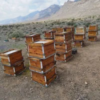 فروش کندو خالی زنبور عسل در حد نو و طبق و پوکه و ق