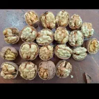 گردو امسالی درجه یک اسفراین (روستای بیدواز)