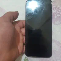 بره|حیوانات مزرعه|مسجد سلیمان, |دیوار