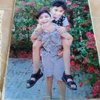 فرش / تابلو فرش / فرشینه / پادری / هزار شانه