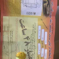 سمند مدل ۹۳|خودرو سواری و وانت|کرج, دهقان ویلا|دیوار