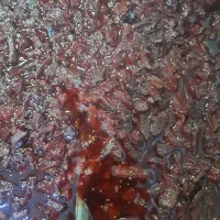 مربای خانگی ارگانیک انجیر و به میوه باغی