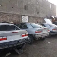 زانتیا اسقاطی اوراقی تصادفی