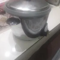 پلوپز سالم