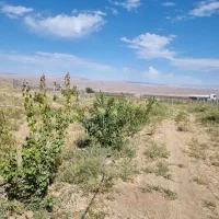 فروش باغ زیبا و آینده دار