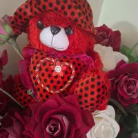 عروسک دخترانه خرسی و دختربچه|اسباببازی بچه|تبریز, |دیوار