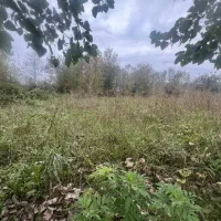 5/800متر زمین مسکونی سند دارکوچصفهان/سنگر/لولمان|فروش زمین و ملک کلنگی|کوچصفهان, |دیوار