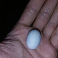 سنگ الماس آسیاب