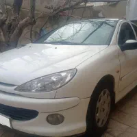 پژو ۲۰۶ تیپ ۲ دوره رنگ