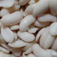 لوبیا کشاورزی پوست کنده (پاچ‌باقلا)