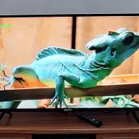 تلویزیون|تلویزیون و پروژکتور|اردبیل, |دیوار