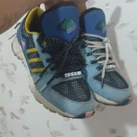 zx سوپر ارت