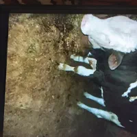 اهواز مسیر تصفیه