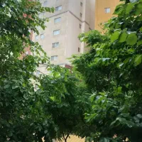 طبقه اول  راه جدا  * رزاز ۳
