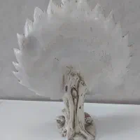 طاووس زیبا|مجسمه، تندیس، ماکت|کاشان, فاز ۲ ناجی آباد|دیوار