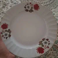 ۱۲عدد بشقاب برنج خوری نو هستن