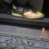 کفش|کیف، کفش، کمربند|خرم‌آباد, |دیوار