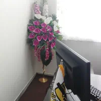 استخدام نیرو کارآموز خانم جهت دفتر ثبت شرکتها