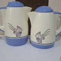 دو عدد فلاکس