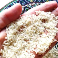 برنج عنبربوی خوزستان