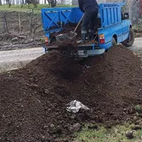 کوددامی ،گوسفندوگاو.خاک مخلوط