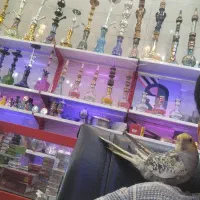 عروس هلندی