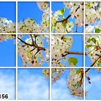 تایل آسمان مجازی|مصالح و تجهیزات ساختمان|شیراز, زند|دیوار